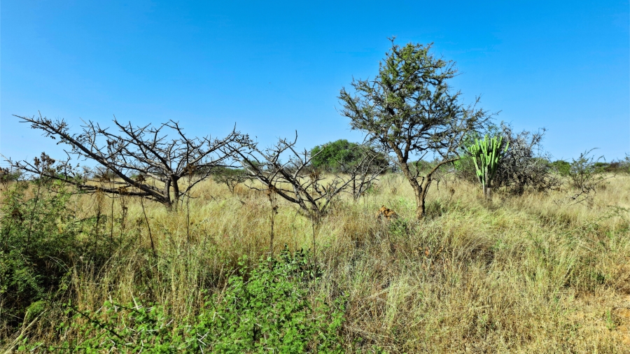 Commercial Property for Sale in Bendor Limpopo