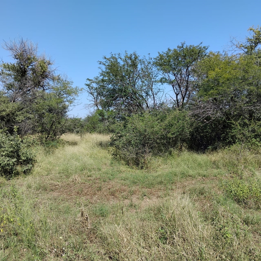 Commercial Property for Sale in Beauty Limpopo