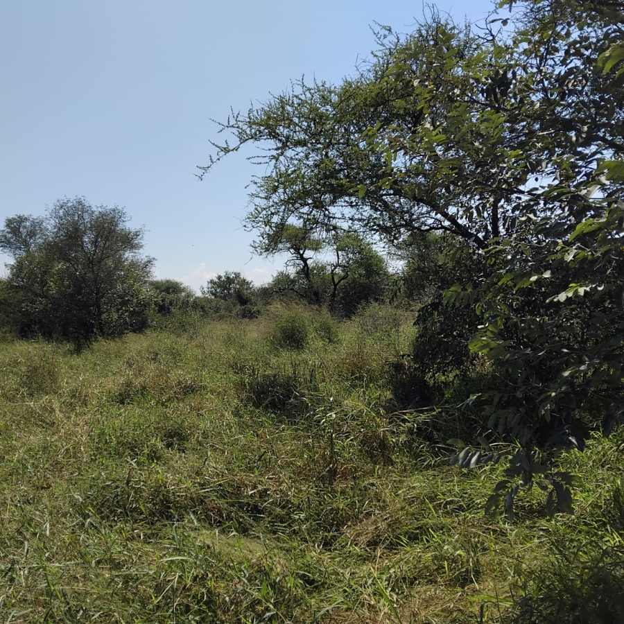 Commercial Property for Sale in Beauty Limpopo