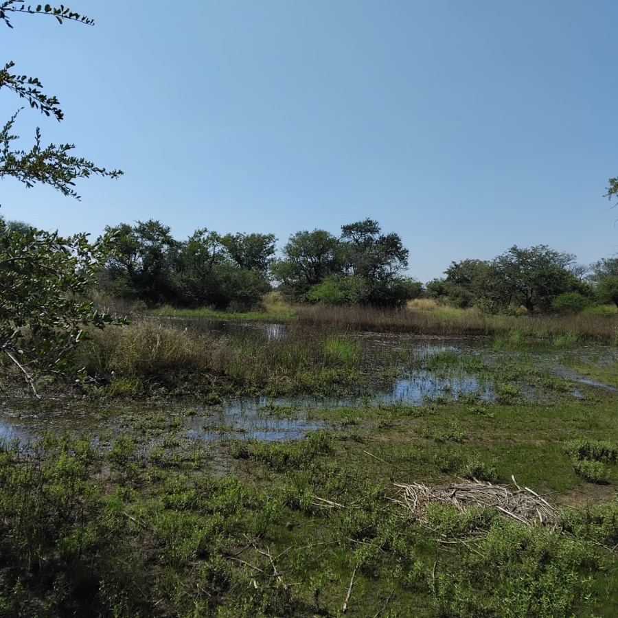 Commercial Property for Sale in Beauty Limpopo