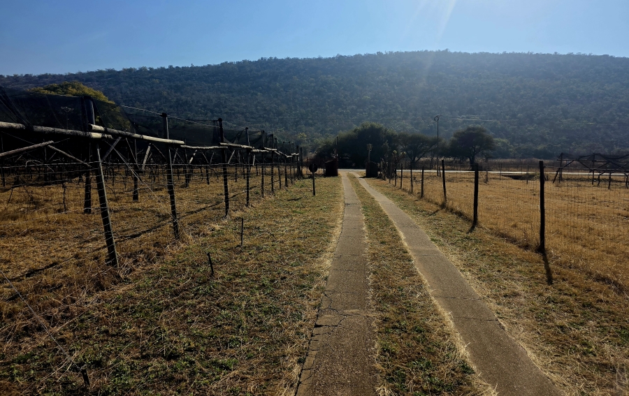17 Bedroom Property for Sale in Modimolle Limpopo