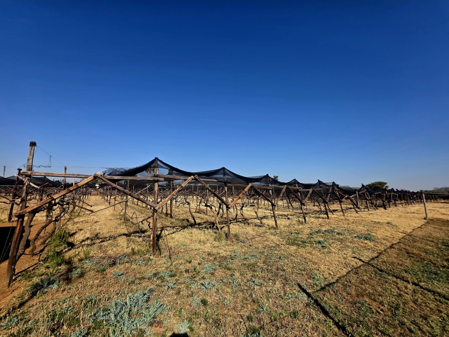 17 Bedroom Property for Sale in Modimolle Limpopo