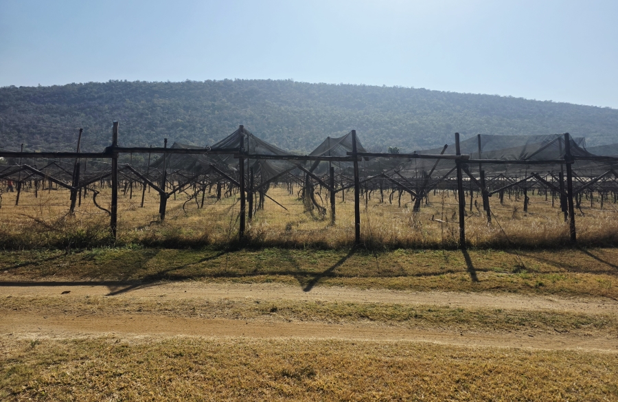 17 Bedroom Property for Sale in Modimolle Limpopo