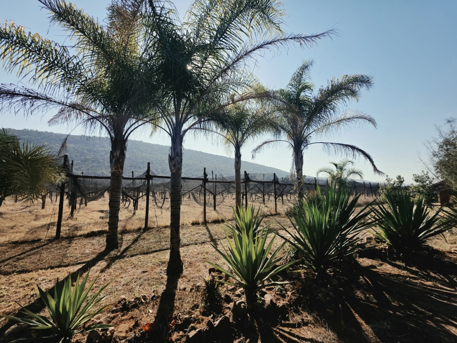 17 Bedroom Property for Sale in Modimolle Limpopo
