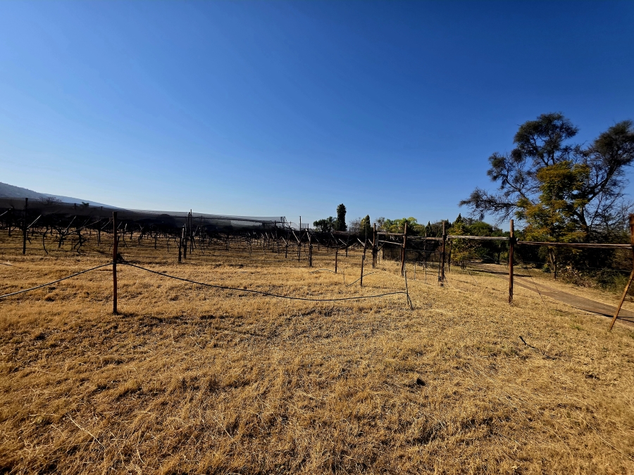 17 Bedroom Property for Sale in Modimolle Limpopo