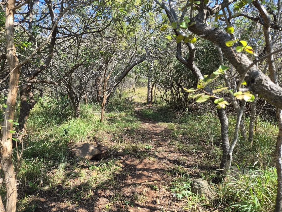 0 Bedroom Property for Sale in Kampersrus Limpopo