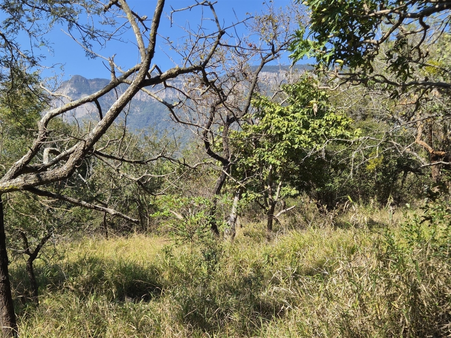 0 Bedroom Property for Sale in Kampersrus Limpopo