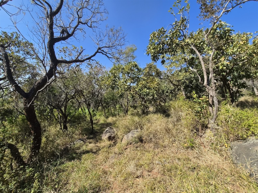 0 Bedroom Property for Sale in Kampersrus Limpopo