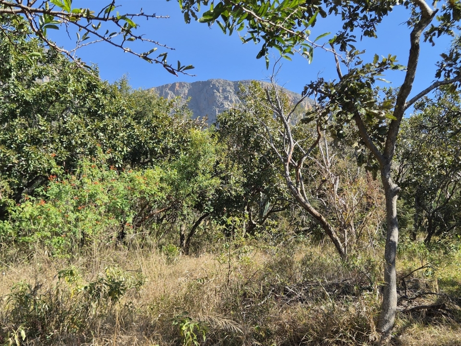 0 Bedroom Property for Sale in Kampersrus Limpopo