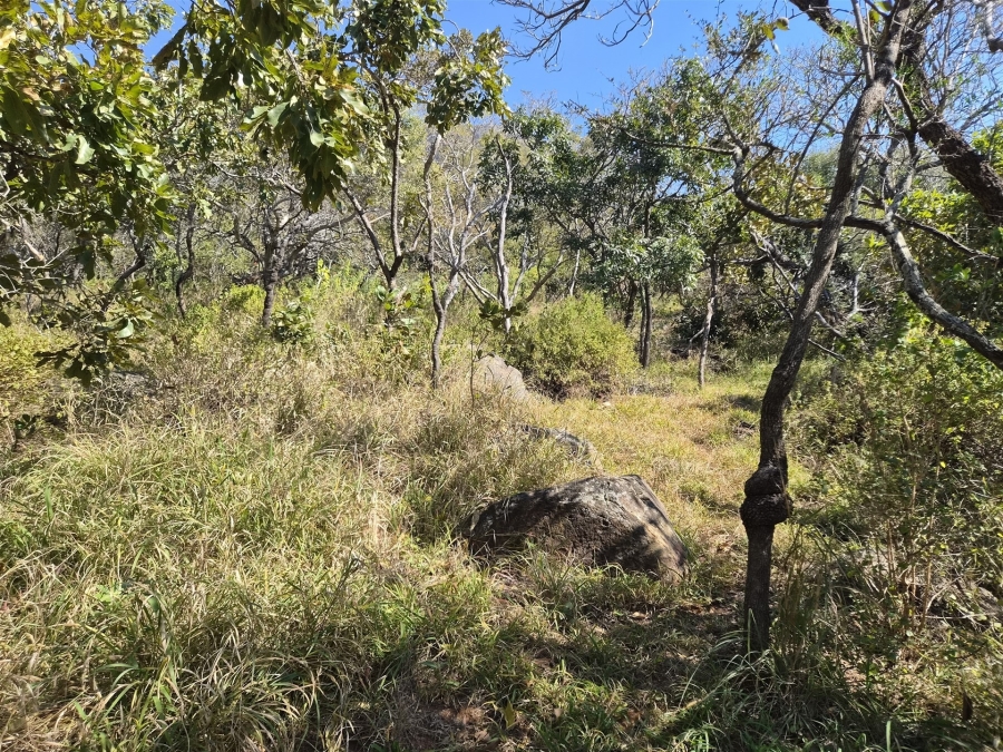 0 Bedroom Property for Sale in Kampersrus Limpopo