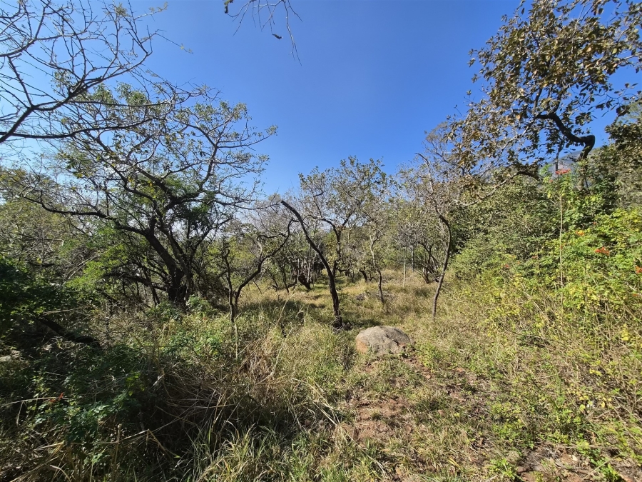 0 Bedroom Property for Sale in Kampersrus Limpopo
