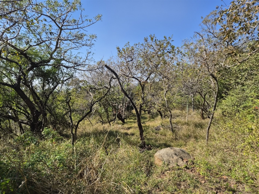0 Bedroom Property for Sale in Kampersrus Limpopo