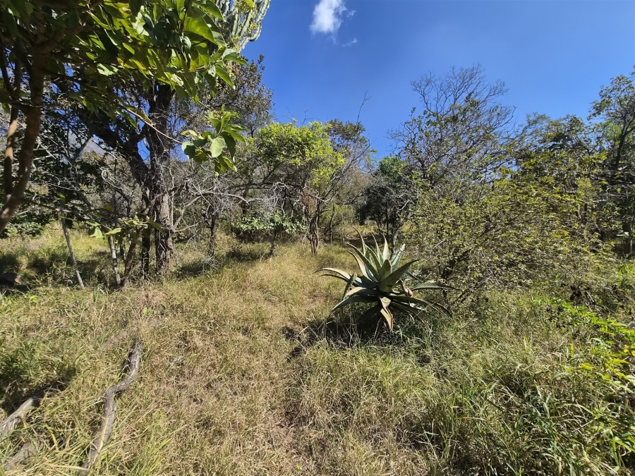 0 Bedroom Property for Sale in Kampersrus Limpopo