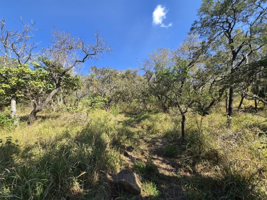 0 Bedroom Property for Sale in Kampersrus Limpopo