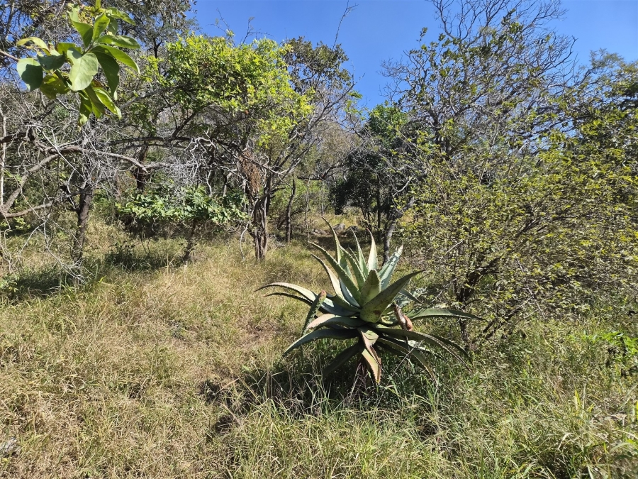 0 Bedroom Property for Sale in Kampersrus Limpopo