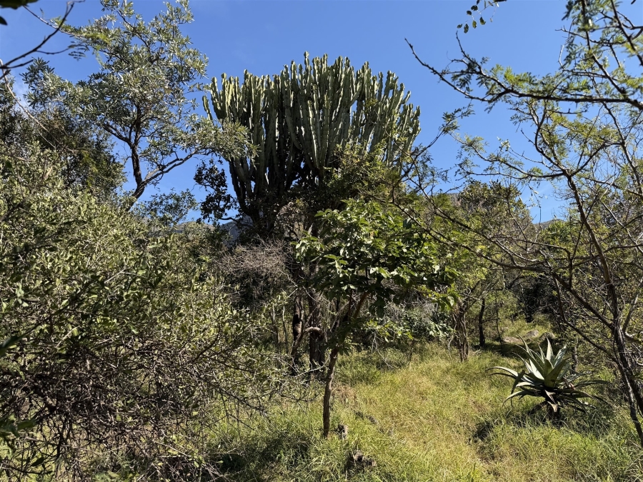 0 Bedroom Property for Sale in Kampersrus Limpopo