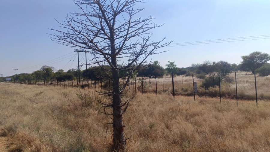 0 Bedroom Property for Sale in Musina Limpopo