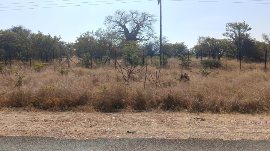 0 Bedroom Property for Sale in Musina Limpopo