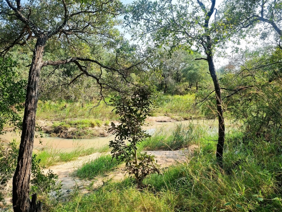 0 Bedroom Property for Sale in Moditlo Wildlife Estate Limpopo