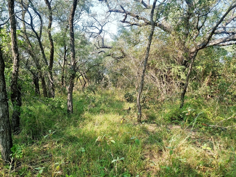 0 Bedroom Property for Sale in Moditlo Wildlife Estate Limpopo