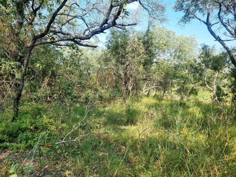 0 Bedroom Property for Sale in Moditlo Wildlife Estate Limpopo