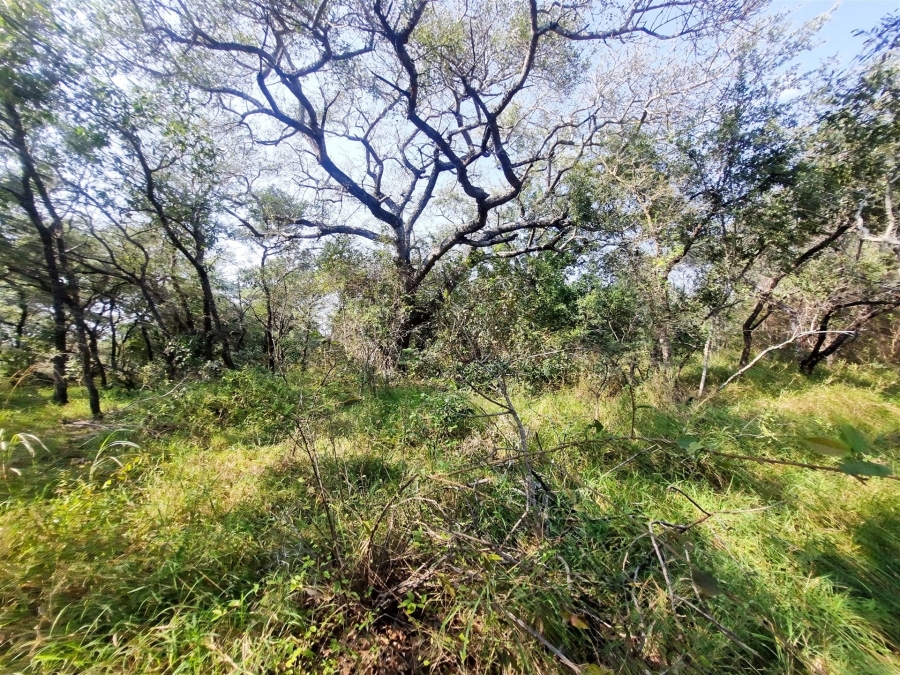 0 Bedroom Property for Sale in Moditlo Wildlife Estate Limpopo