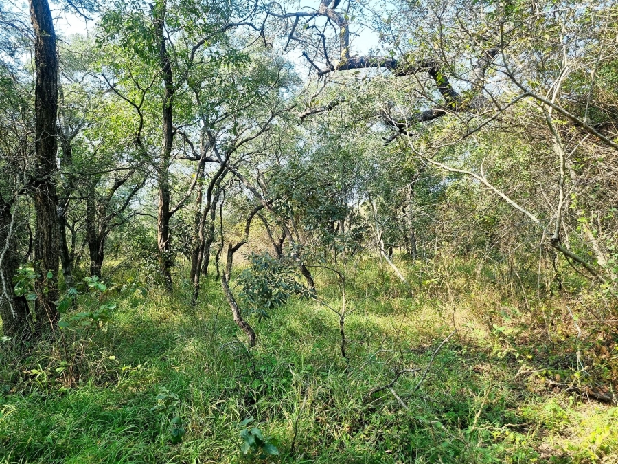 0 Bedroom Property for Sale in Moditlo Wildlife Estate Limpopo