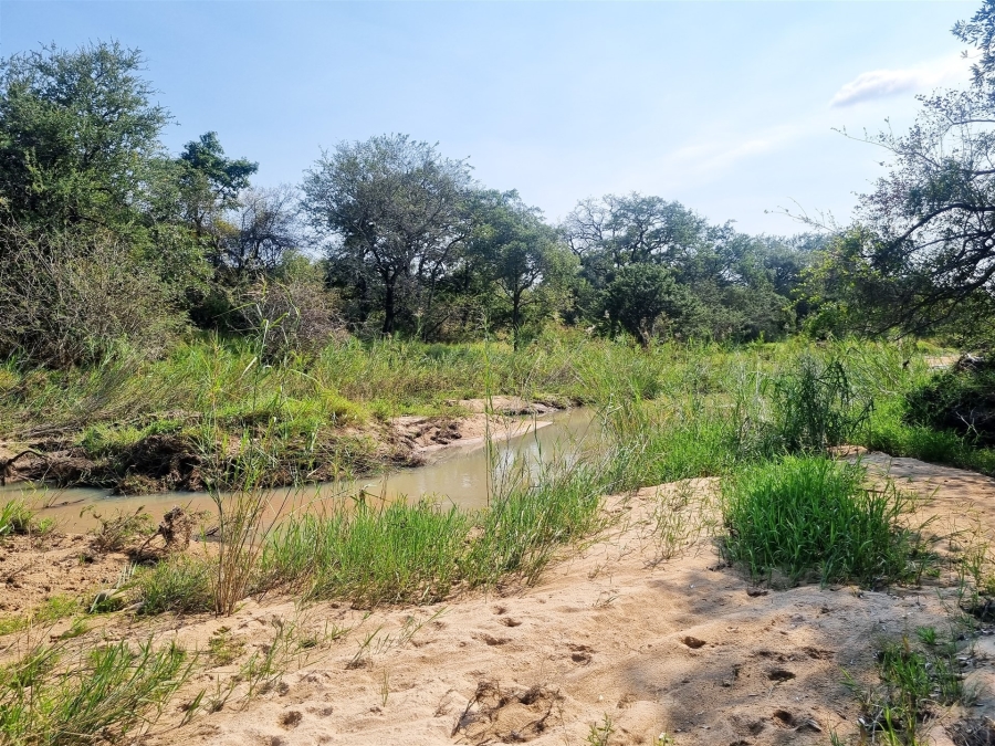 0 Bedroom Property for Sale in Moditlo Wildlife Estate Limpopo