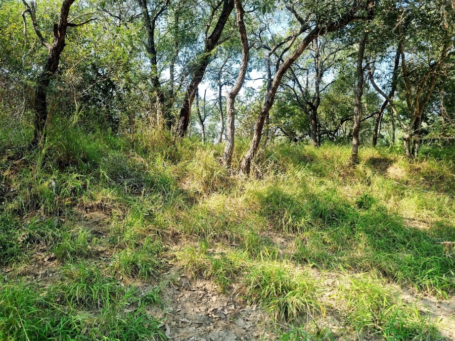 0 Bedroom Property for Sale in Moditlo Wildlife Estate Limpopo