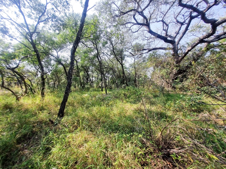 0 Bedroom Property for Sale in Moditlo Wildlife Estate Limpopo