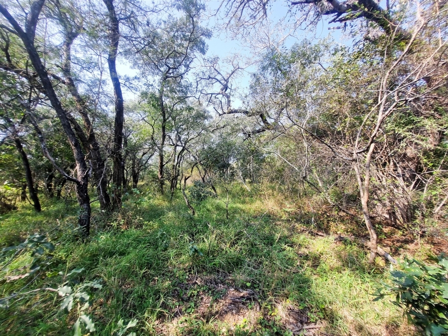 0 Bedroom Property for Sale in Moditlo Wildlife Estate Limpopo