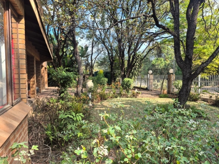 4 Bedroom Property for Sale in Phalaborwa Limpopo