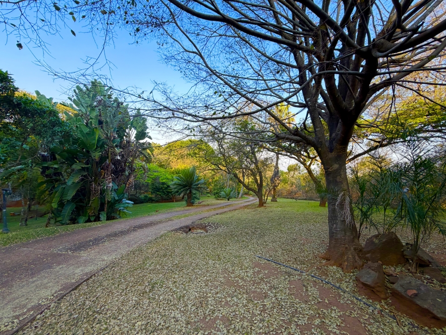 5 Bedroom Property for Sale in Louis Trichardt Limpopo