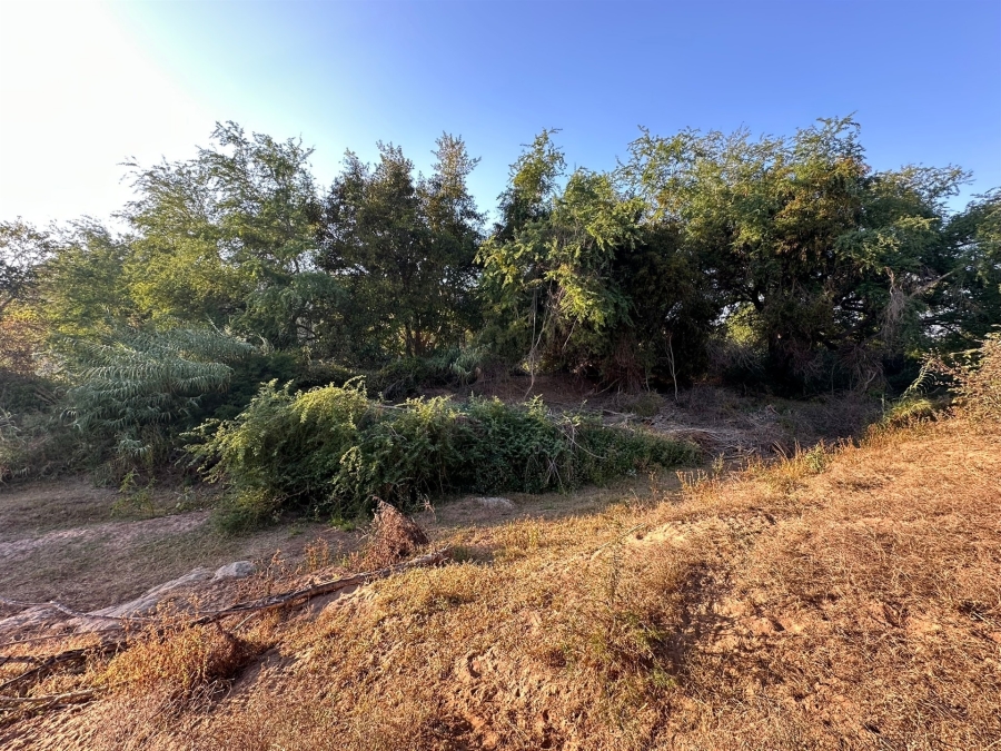 0 Bedroom Property for Sale in Elephant Rock Eco Estate Limpopo