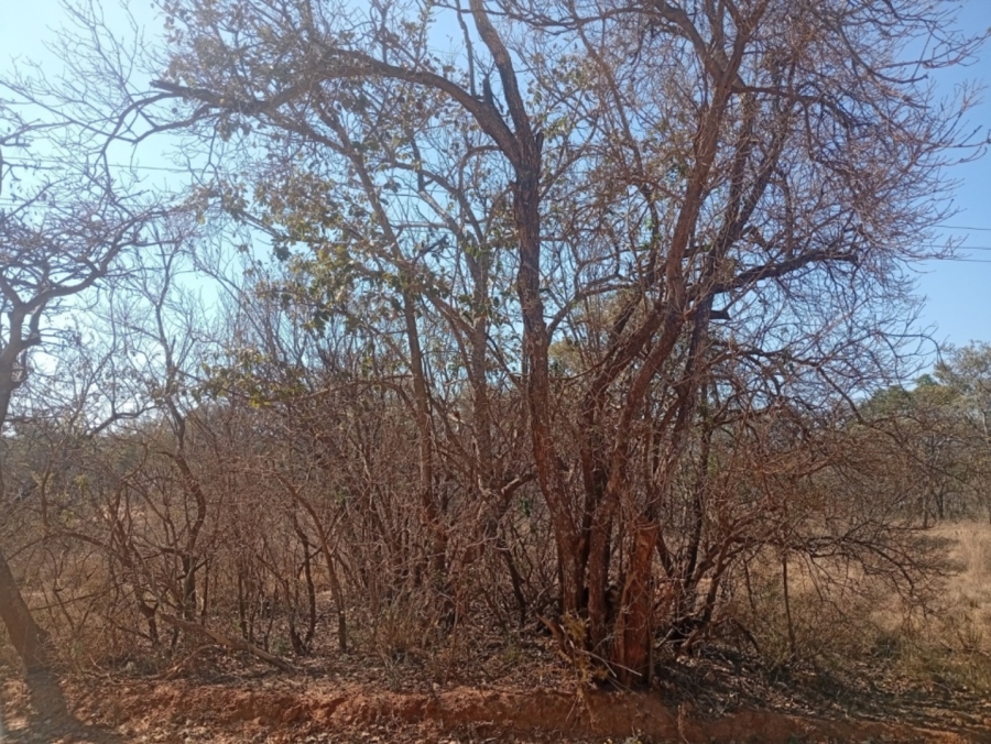 0 Bedroom Property for Sale in Bela Bela Limpopo
