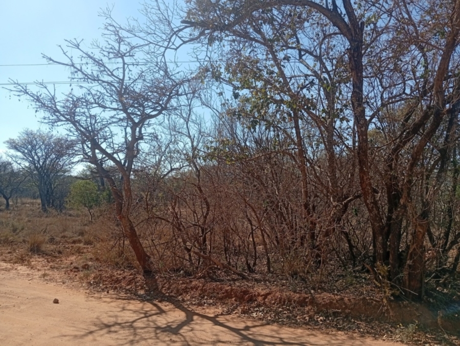 0 Bedroom Property for Sale in Bela Bela Limpopo