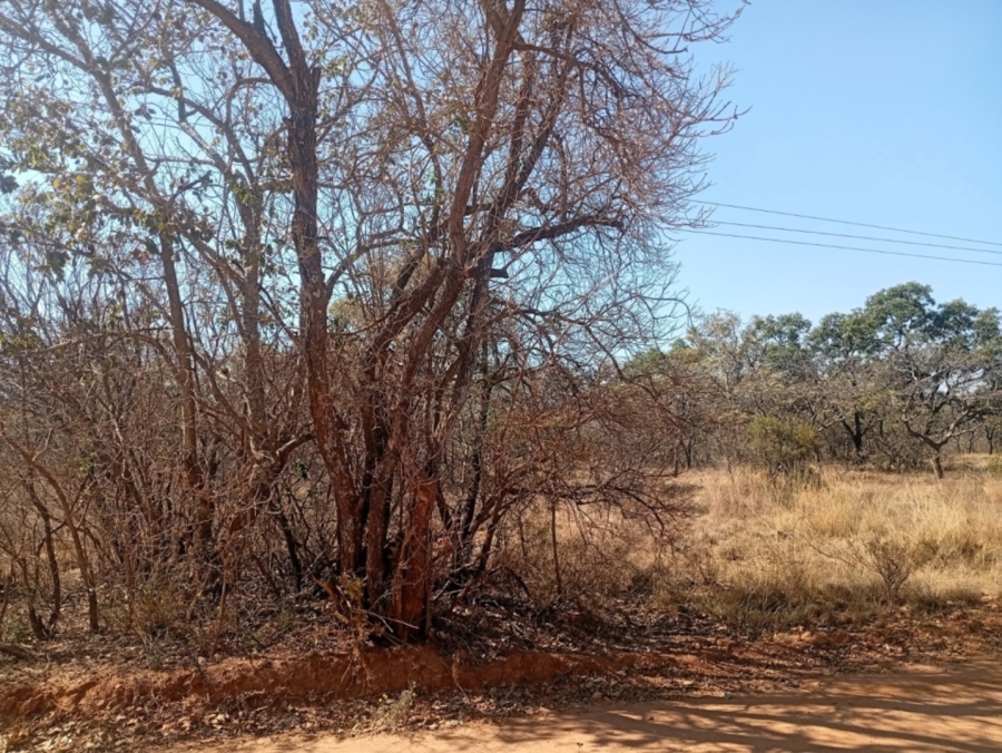 0 Bedroom Property for Sale in Bela Bela Limpopo