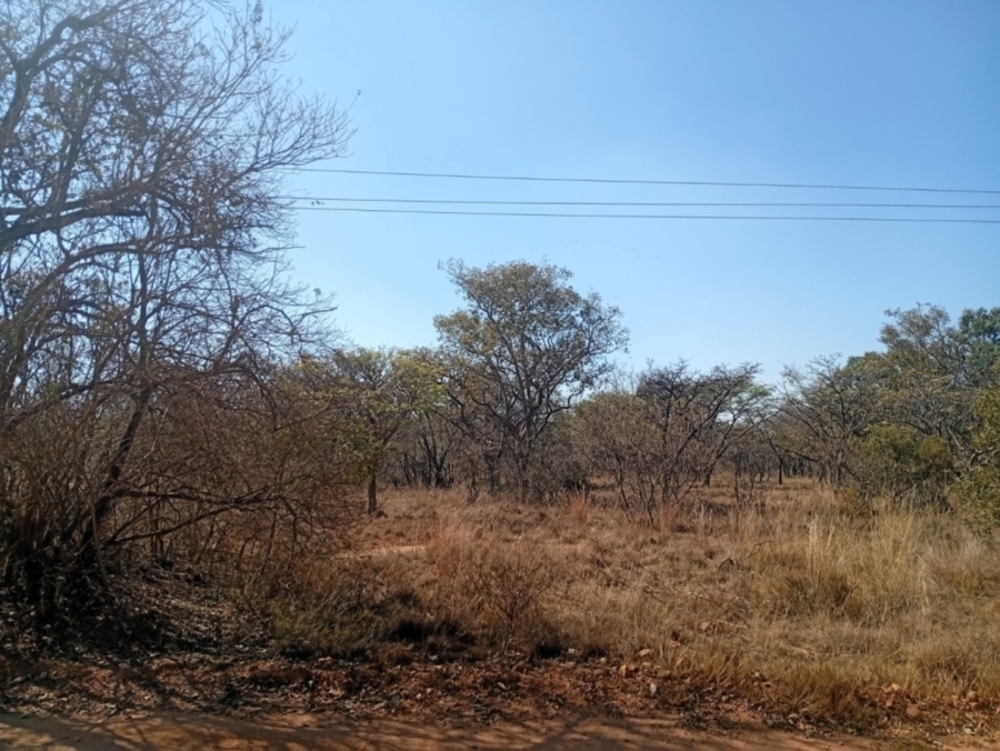 0 Bedroom Property for Sale in Bela Bela Limpopo