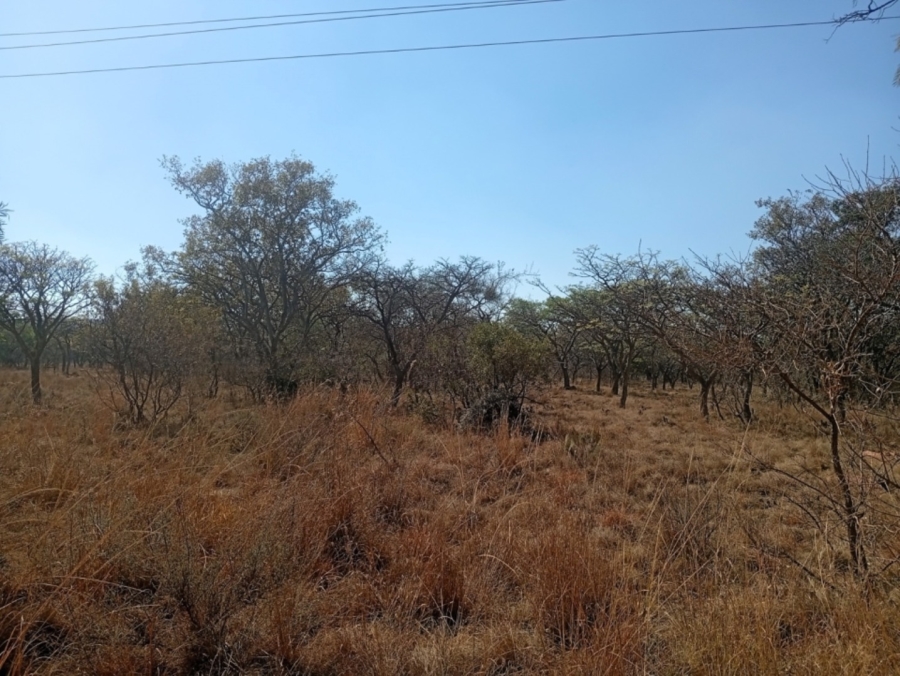 0 Bedroom Property for Sale in Bela Bela Limpopo