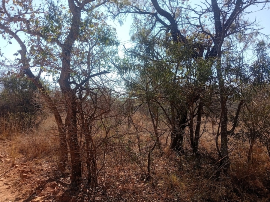 0 Bedroom Property for Sale in Bela Bela Limpopo