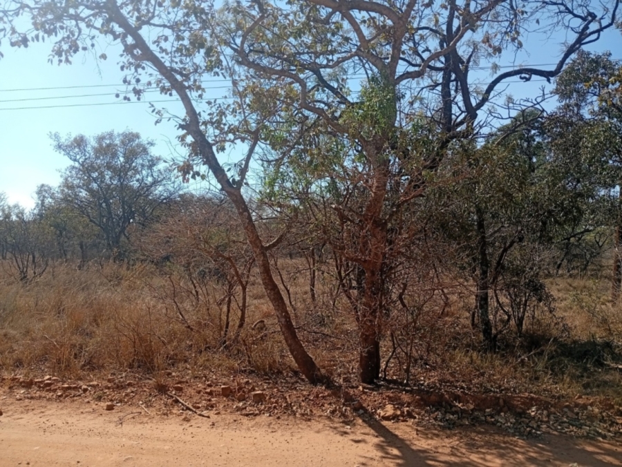 0 Bedroom Property for Sale in Bela Bela Limpopo