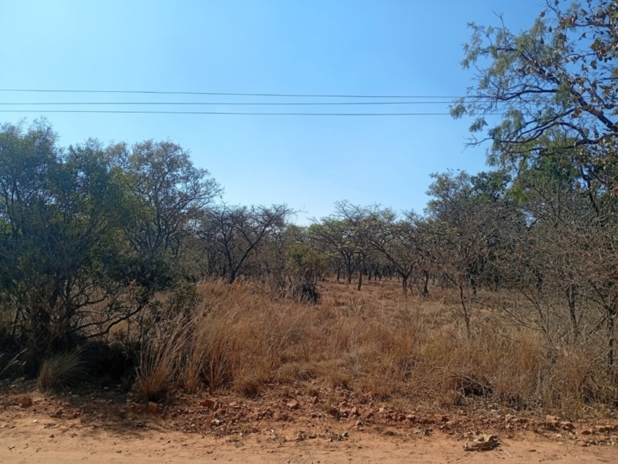0 Bedroom Property for Sale in Bela Bela Limpopo