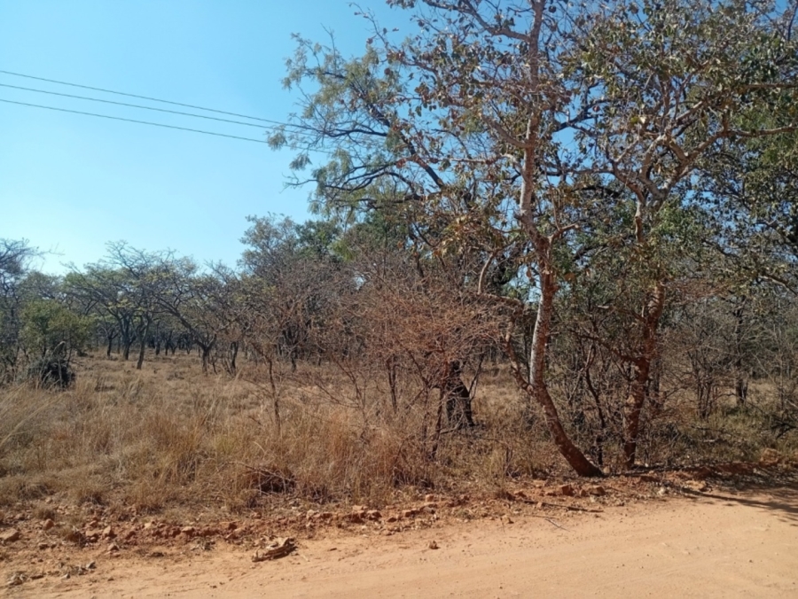 0 Bedroom Property for Sale in Bela Bela Limpopo