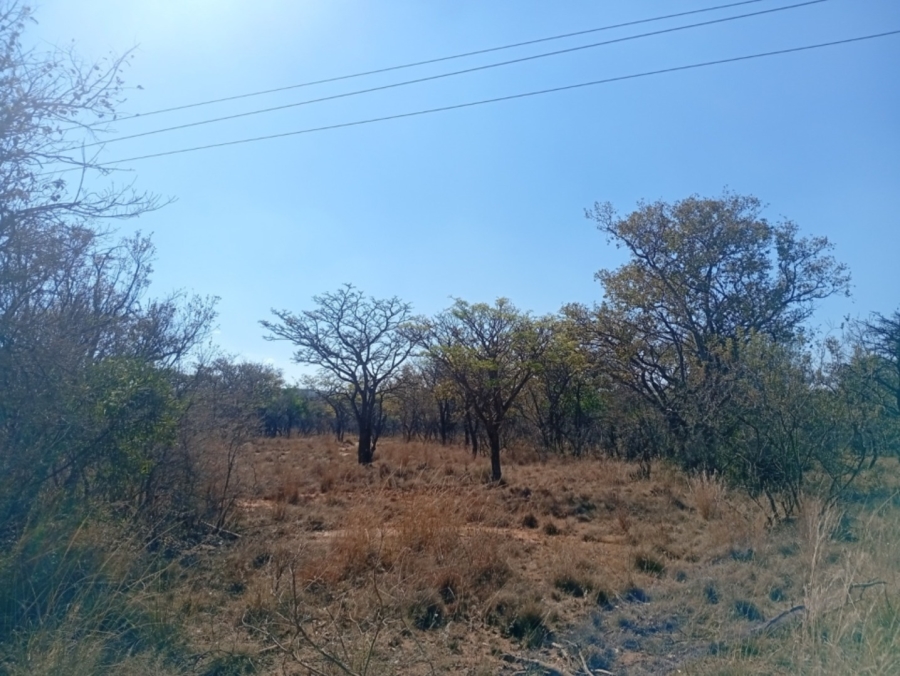 0 Bedroom Property for Sale in Bela Bela Limpopo
