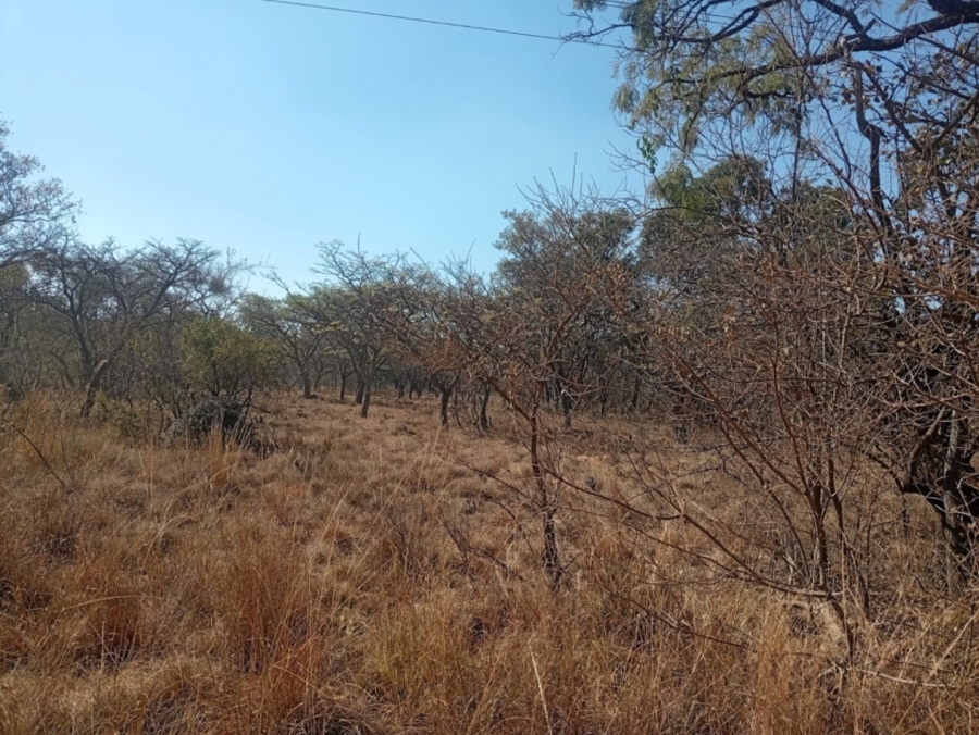 0 Bedroom Property for Sale in Bela Bela Limpopo