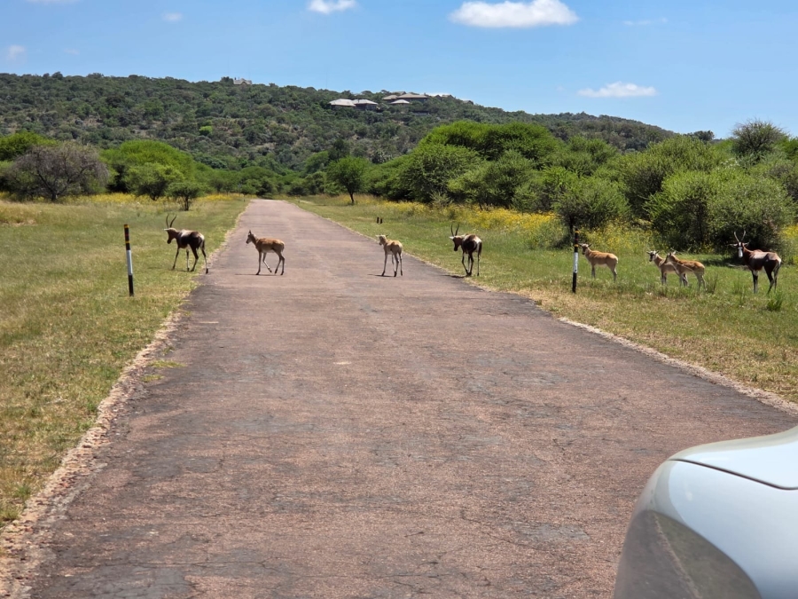 0 Bedroom Property for Sale in Intaba Indle Wilderness Estate Limpopo