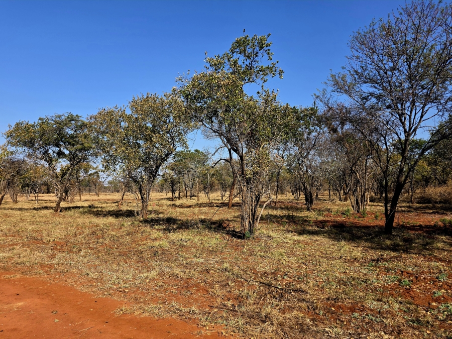3 Bedroom Property for Sale in Mookgopong Limpopo
