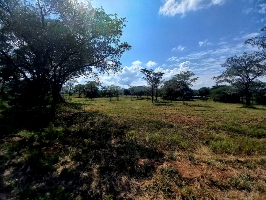 0 Bedroom Property for Sale in Bela Bela Limpopo