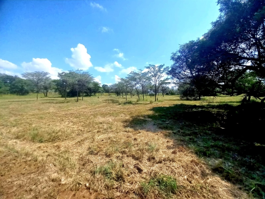 0 Bedroom Property for Sale in Bela Bela Limpopo
