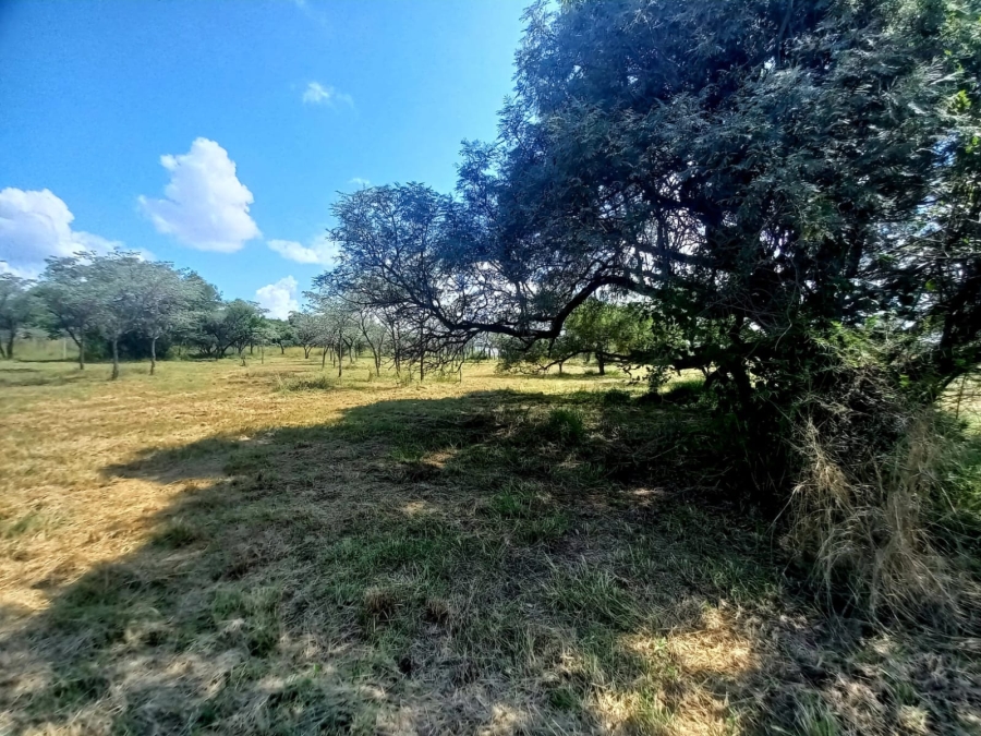 0 Bedroom Property for Sale in Bela Bela Limpopo